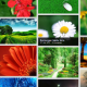 Widget Daftar Isi Blogger Galleria