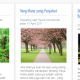 Galleria V2 · Widget Masonry untuk Blogger