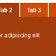JQuery Tab