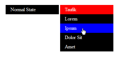 Teknik CSS Hack Checkbox & Radio