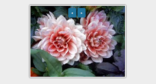 SlideShow JQuery