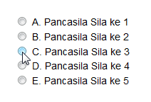 Aksesibilitas elemen radio yang kurang baik tanpa adanya elemen label.