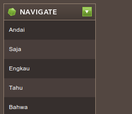 JQuery DropDown Menu